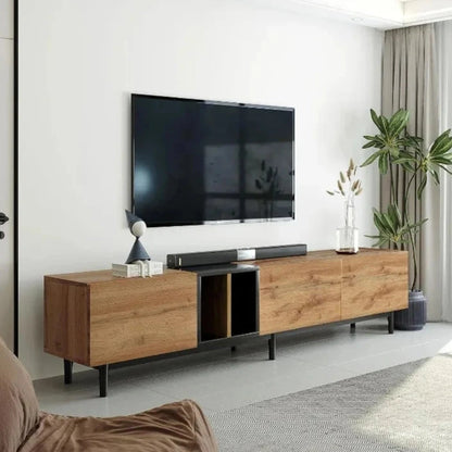 Modern TV Stand with Storage