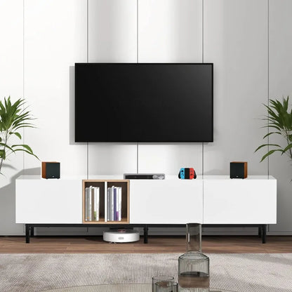 Modern TV Stand with Storage