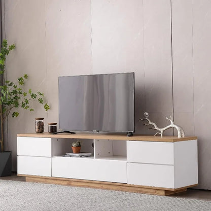 Modern TV Stand with Storage