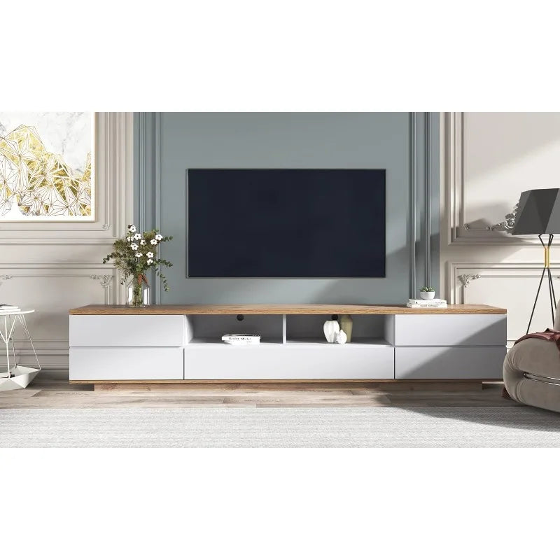 Modern TV Stand with Storage