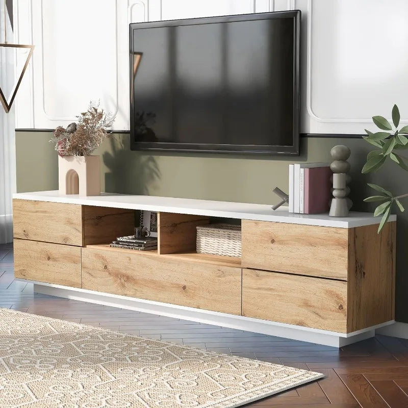 Modern TV Stand with Storage