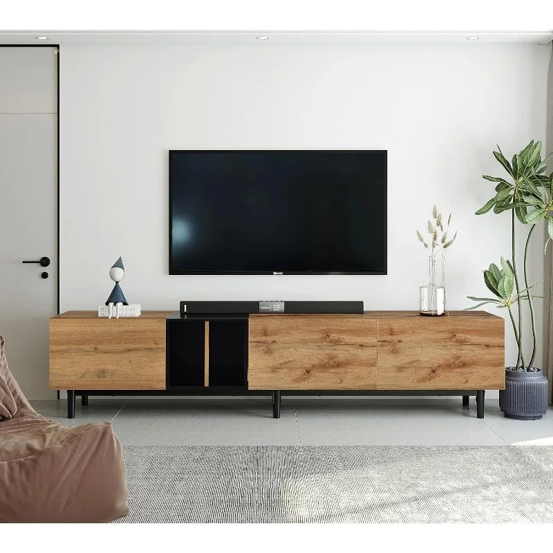 Modern TV Stand with Storage