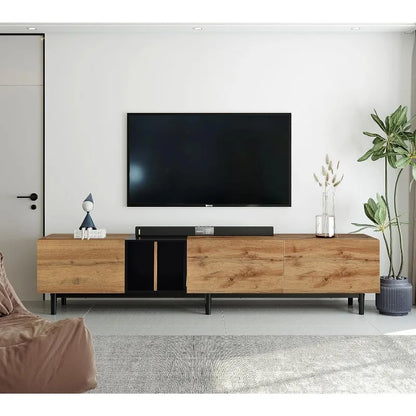 Modern TV Stand with Storage